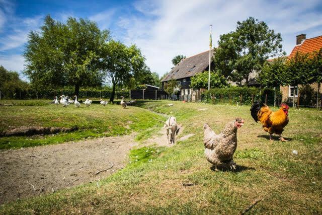 Vakantiewoning - Kon. Emmaweg 26 | Vrouwenpolder 'Uitspanning Oranjezon' ภายนอก รูปภาพ